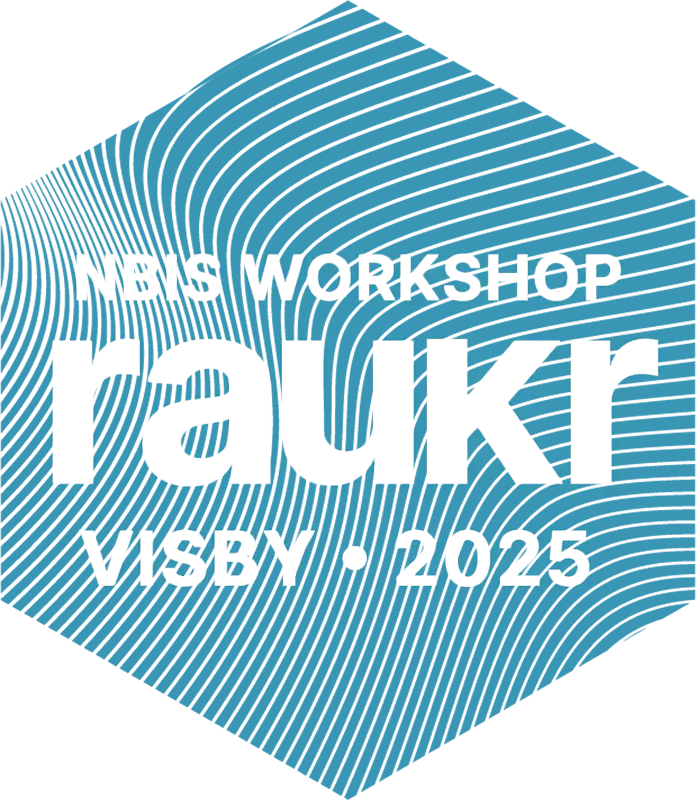 RaukR 2025 logo